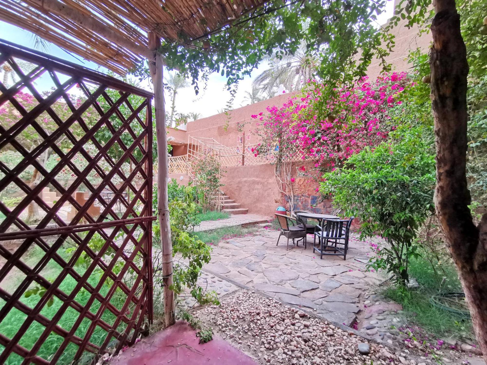 Riad Dar Zaouia Загора Экстерьер фото